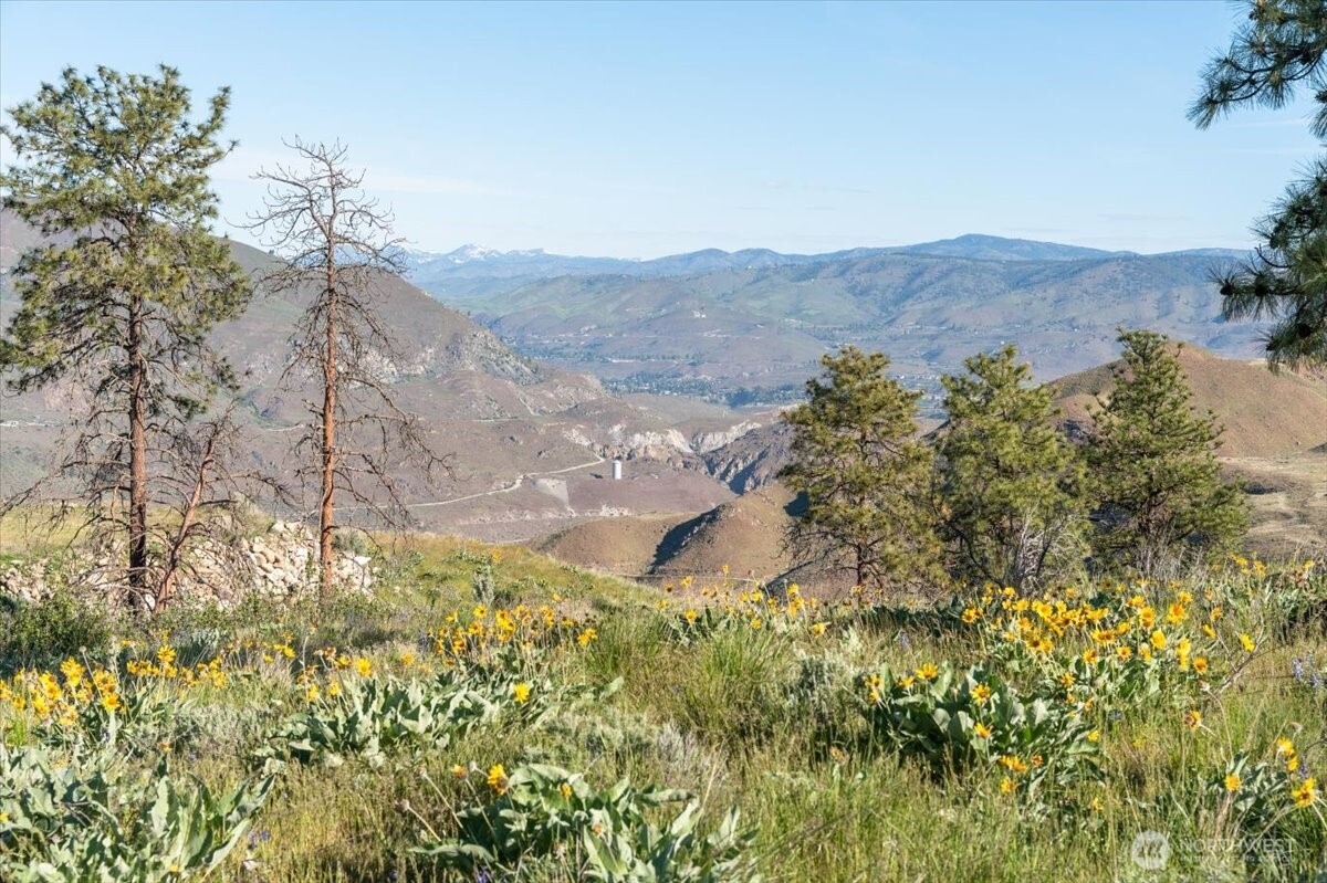 25 Chelan Hills Acres Road Property Photo 21
