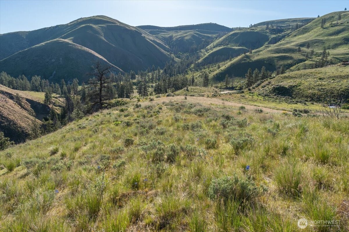 25 Chelan Hills Acres Road Property Photo 25