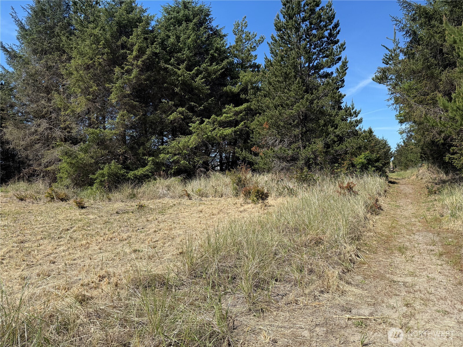 1100 212th Lane Property Photo 11