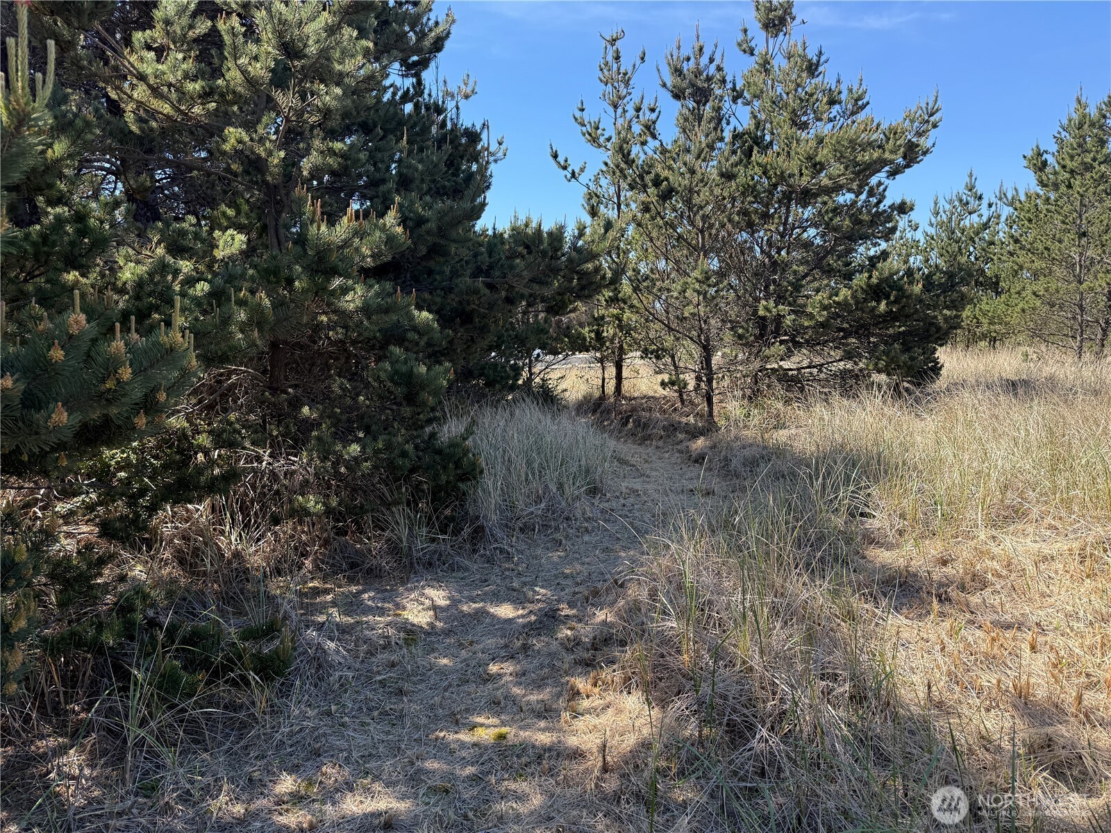 1100 212th Lane Property Photo 12