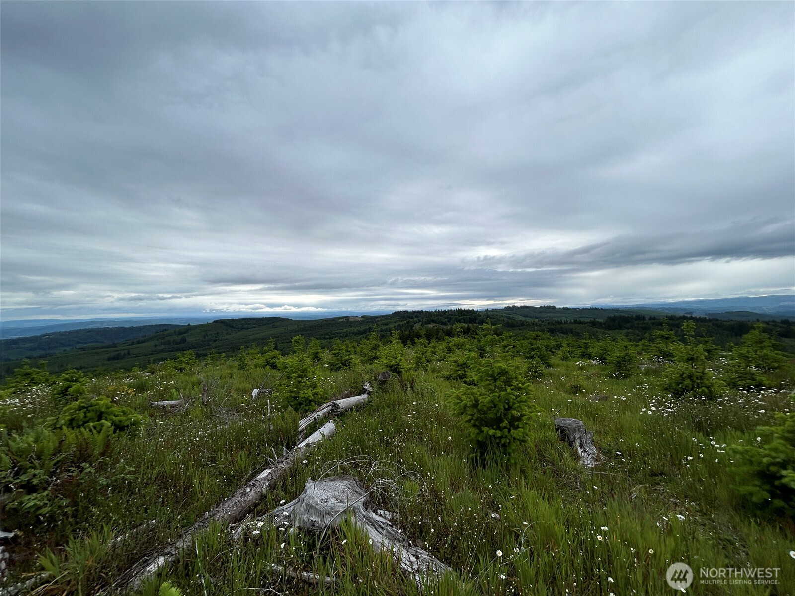 0 Lot 4 Hamilton Heights Road Property Photo 6