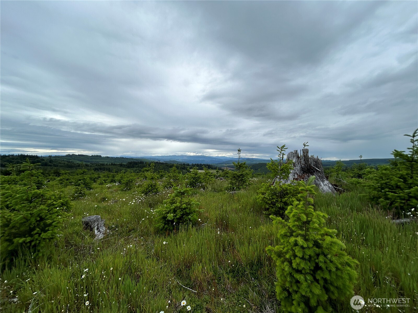 0 Lot 4 Hamilton Heights Road Property Photo 7