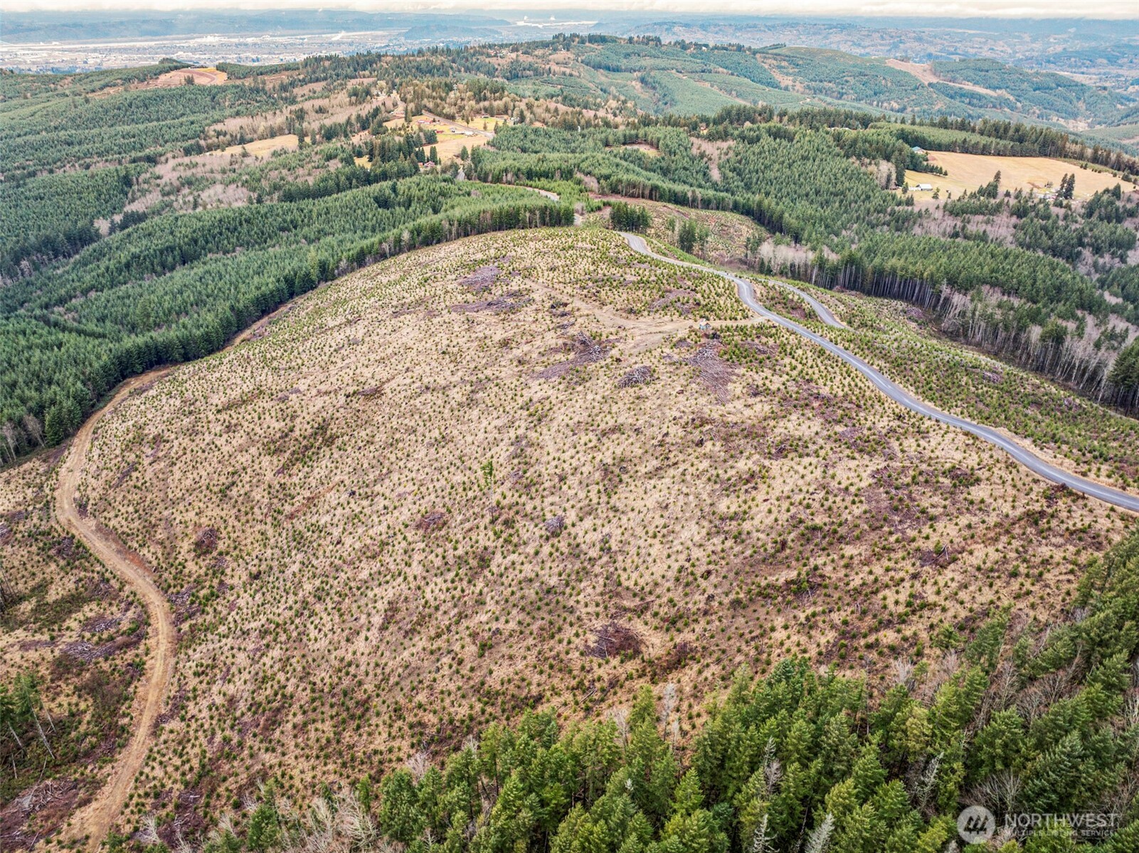 0 Lot 4 Hamilton Heights Road Property Photo 8