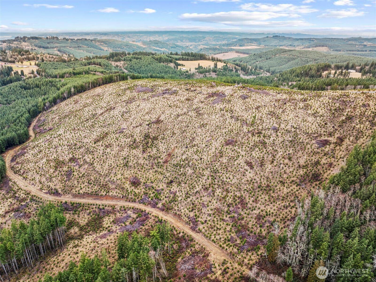 0 Lot 4 Hamilton Heights Road Property Photo 10