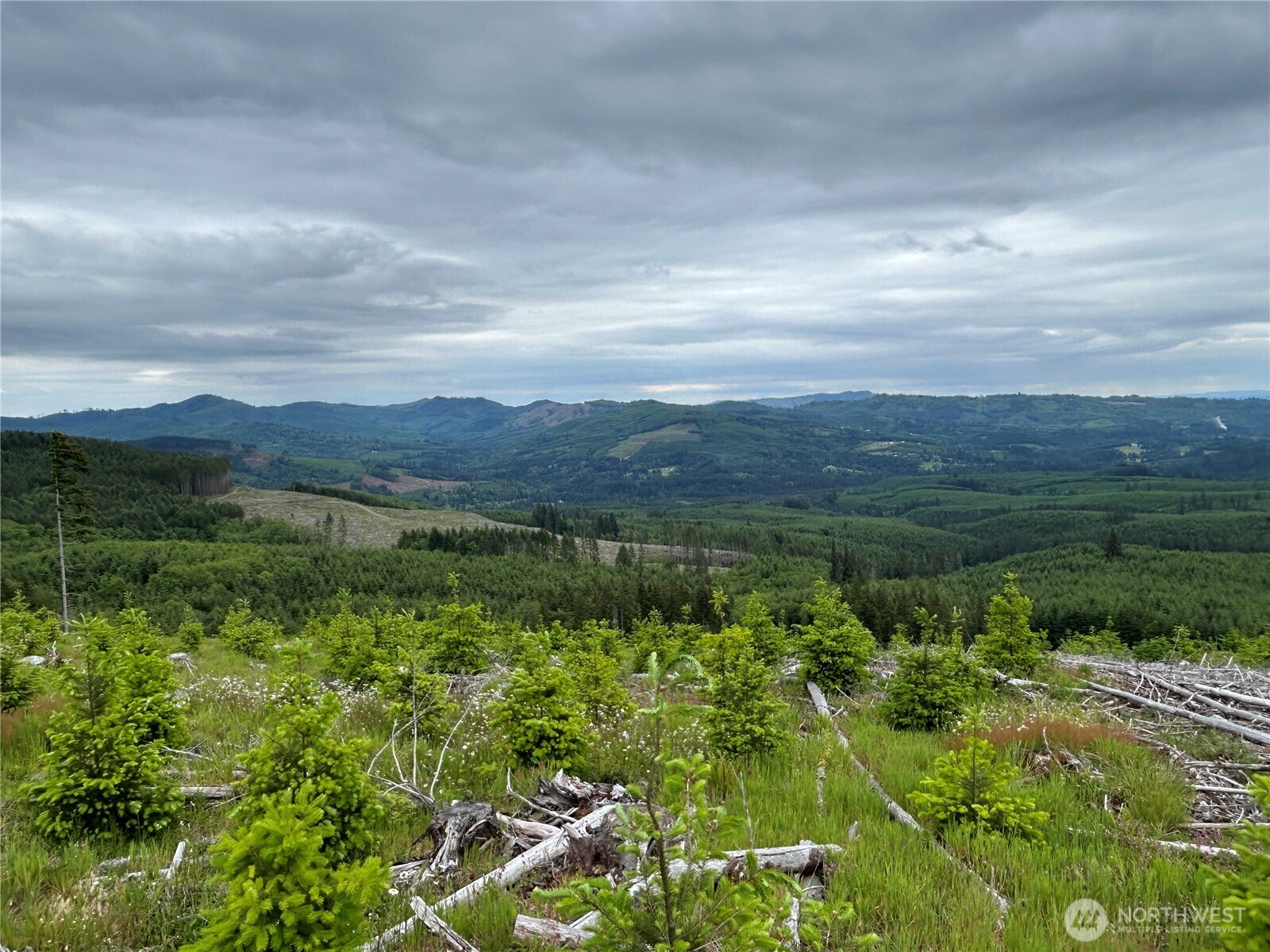 0 Lot 2 Mt Brynion Road Property Photo 8