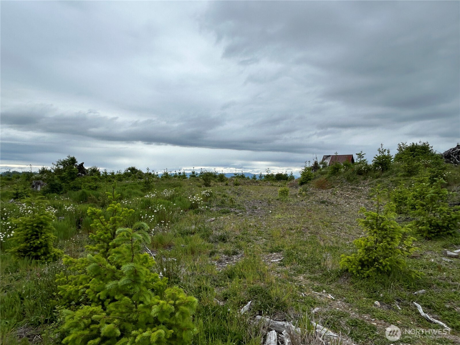 0 Lot 2 Mt Brynion Road Property Photo 9