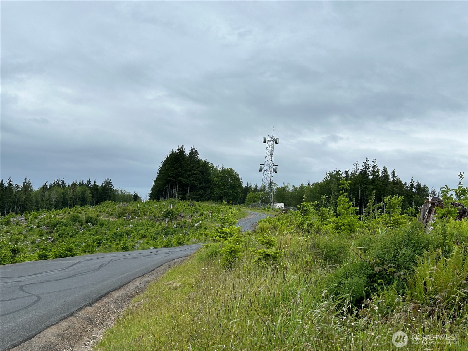 0 Lot 2 Mt Brynion Road Property Photo 15