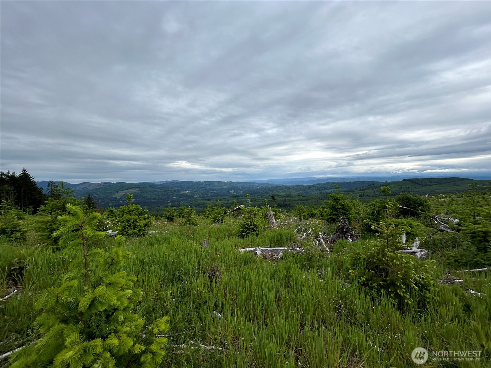 0 Lot 2 Mt Brynion Road Property Photo 16