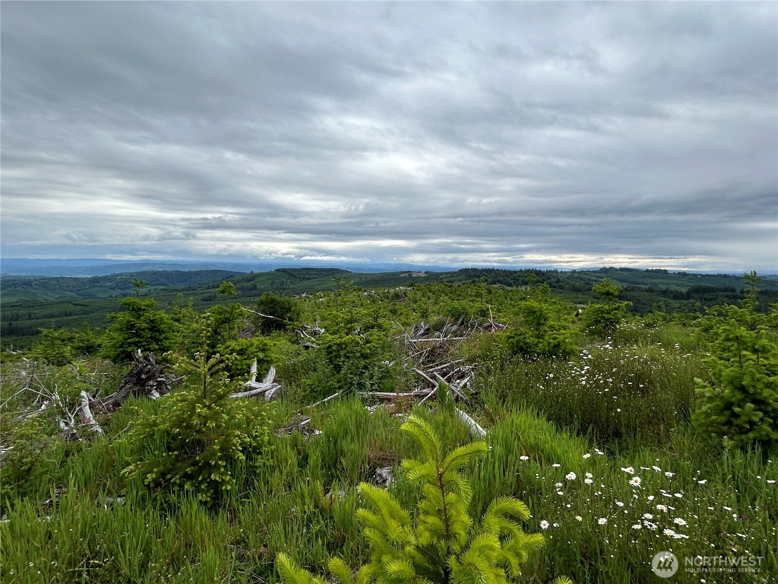 0 Lot 2 Mt Brynion Road Property Photo 18