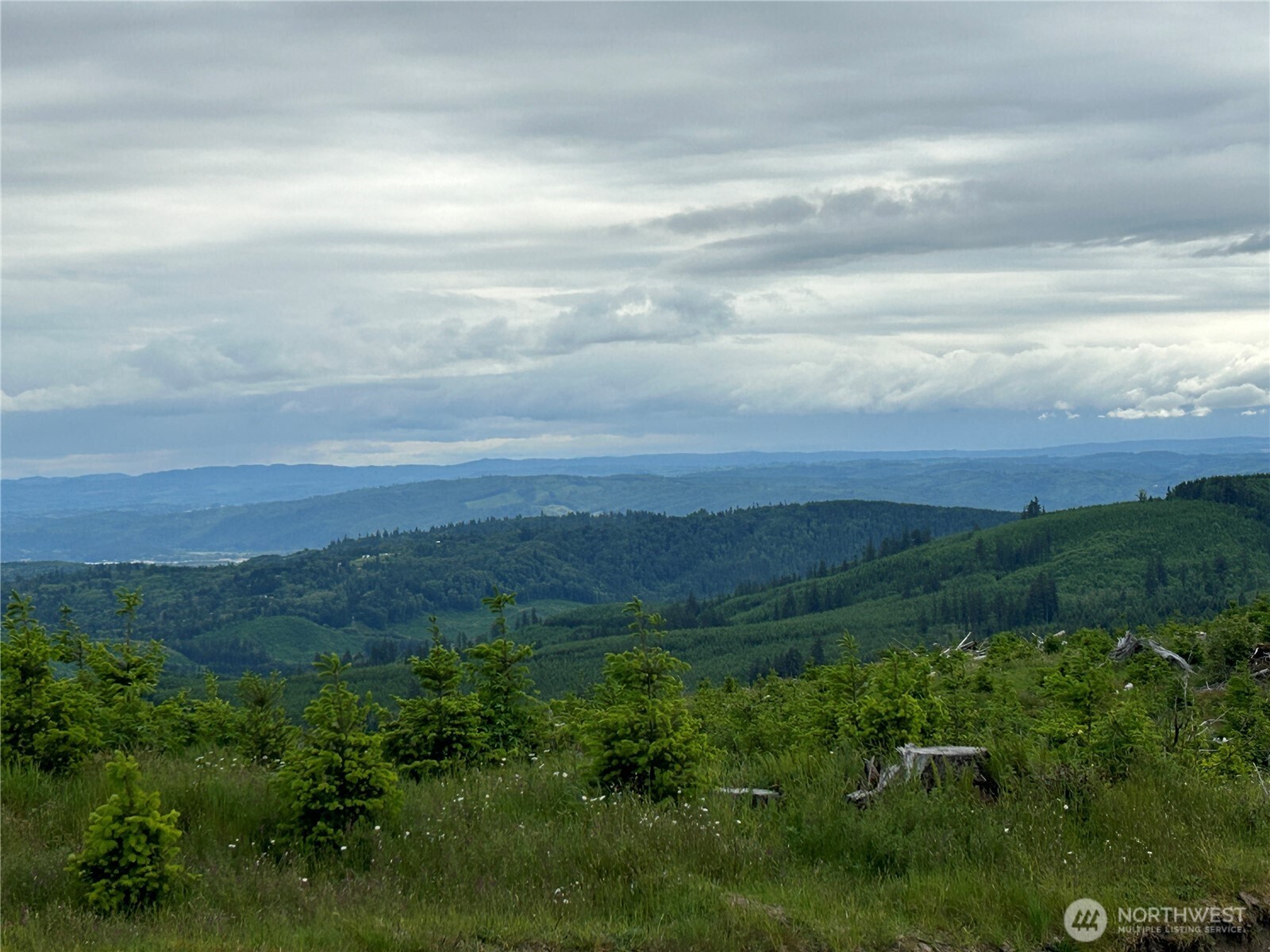0 Lot 2 Mt Brynion Road Property Photo 19