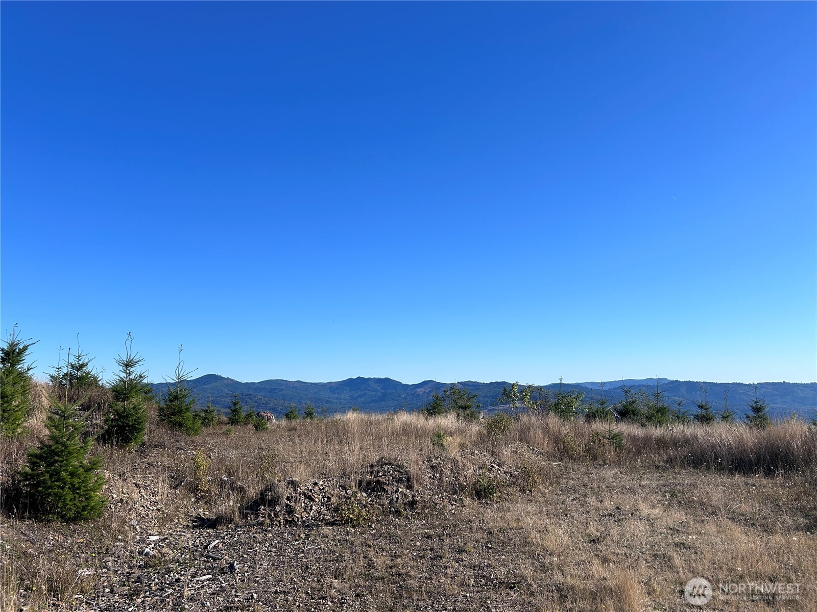 0 Lot 2 Mt Brynion Road Property Photo 22