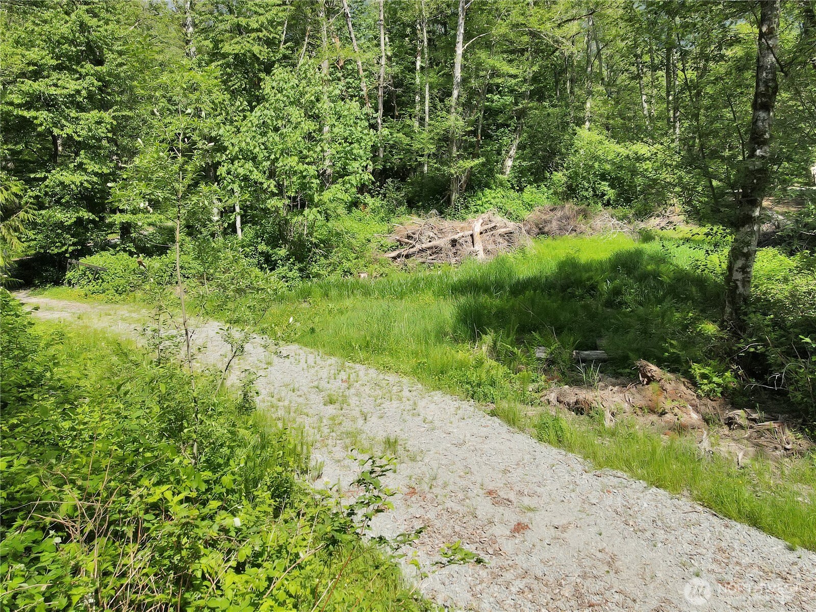 31511 367th Avenue Property Photo 9