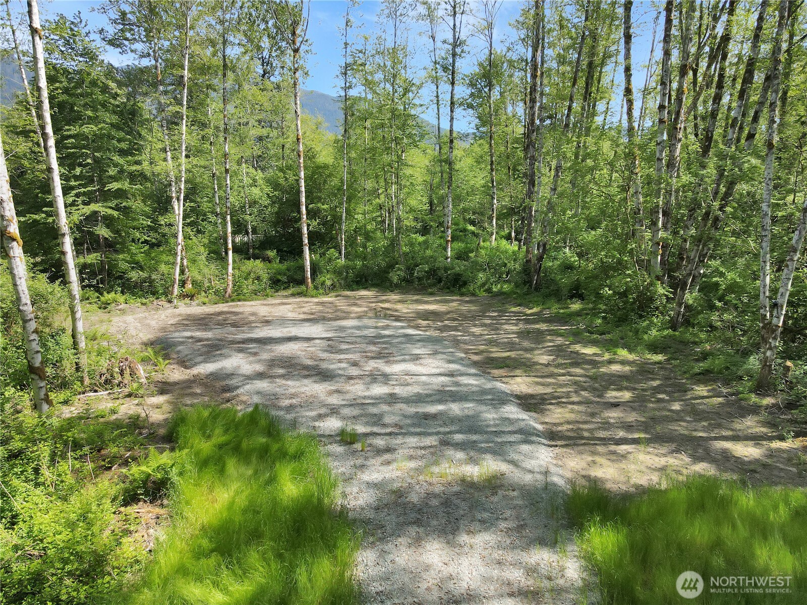 31511 367th Avenue Property Photo 11