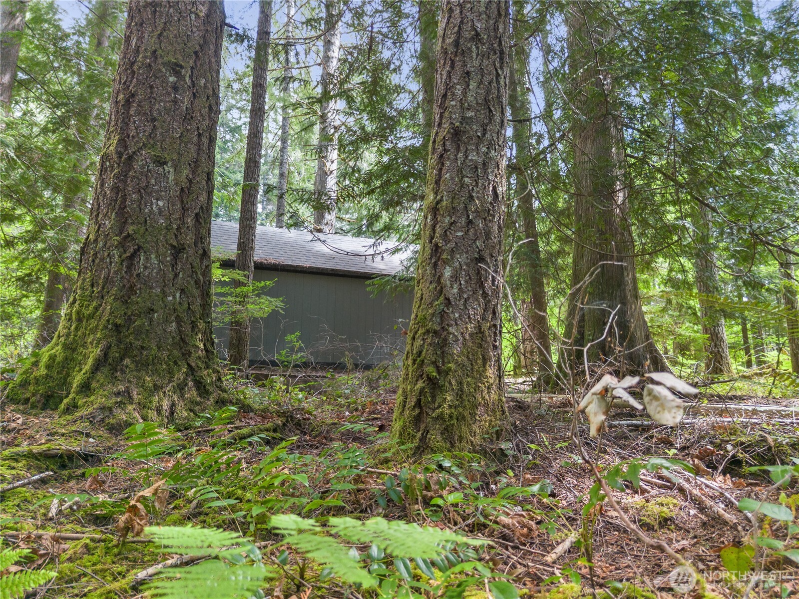 430 N Potlatch Drive Property Photo 6