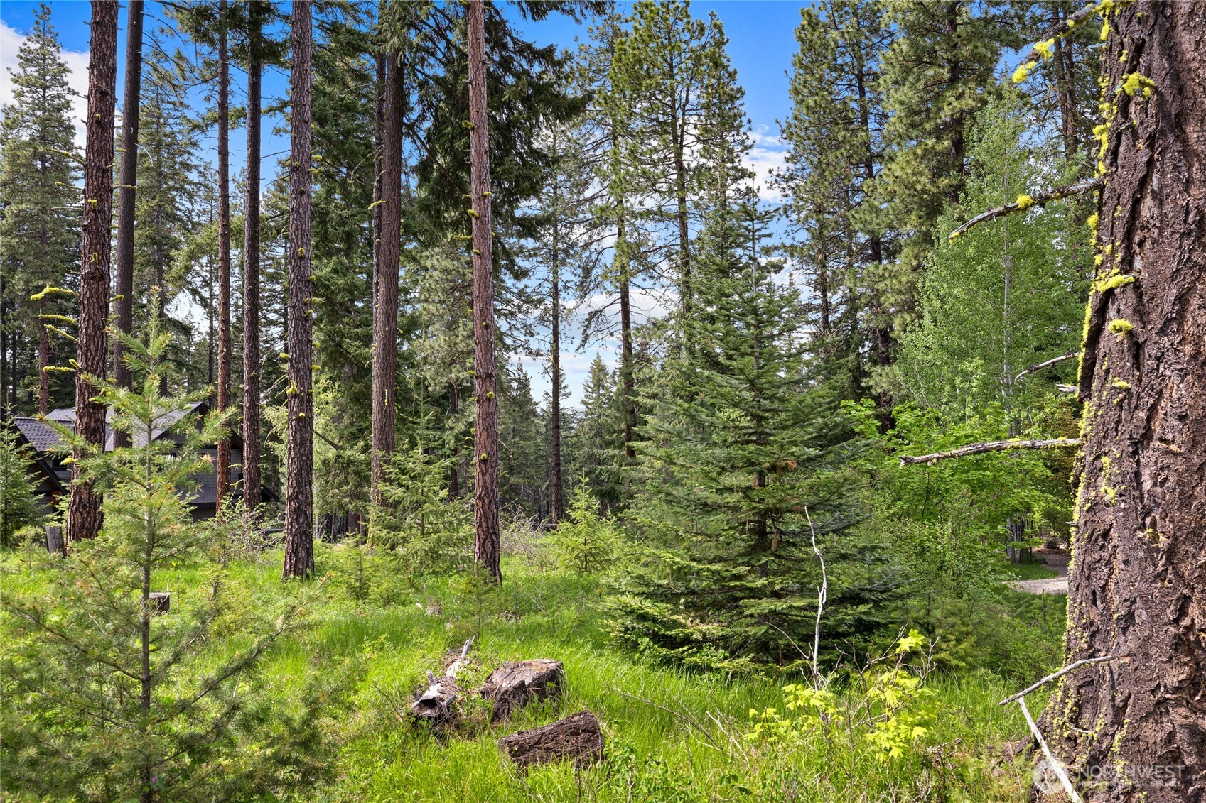 261 Maple Leaf Loop Property Photo 7