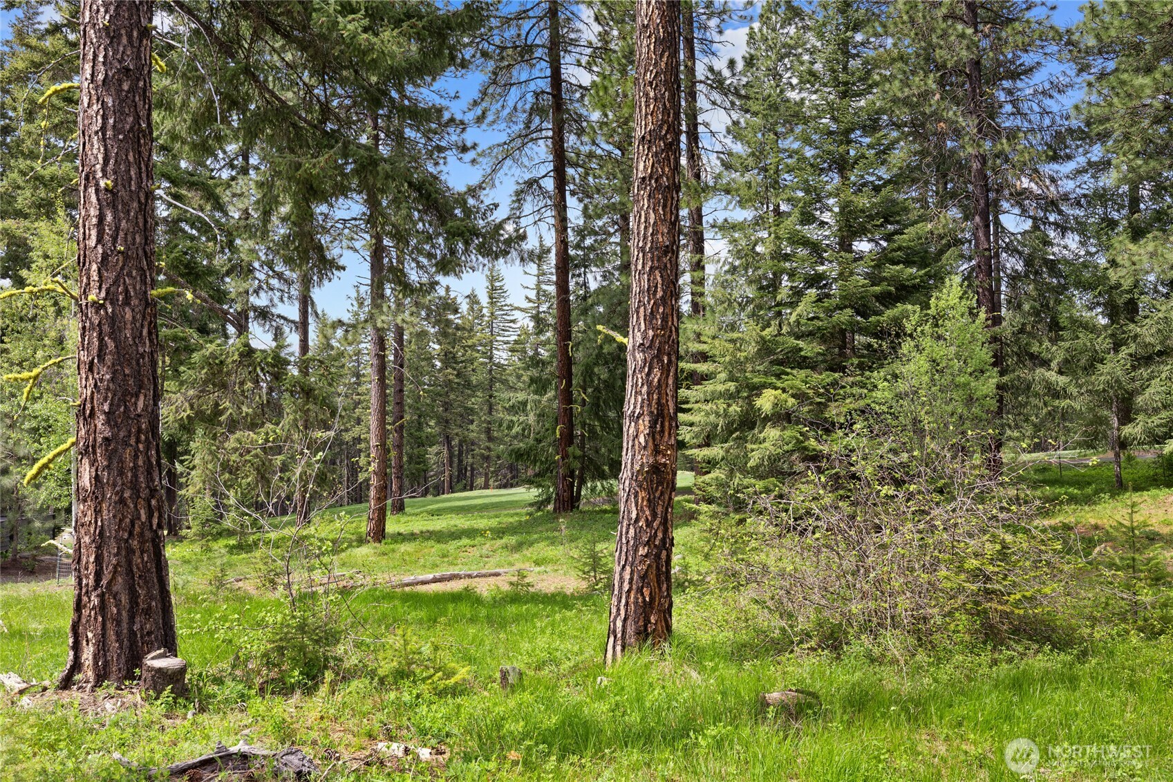 261 Maple Leaf Loop Property Photo 8