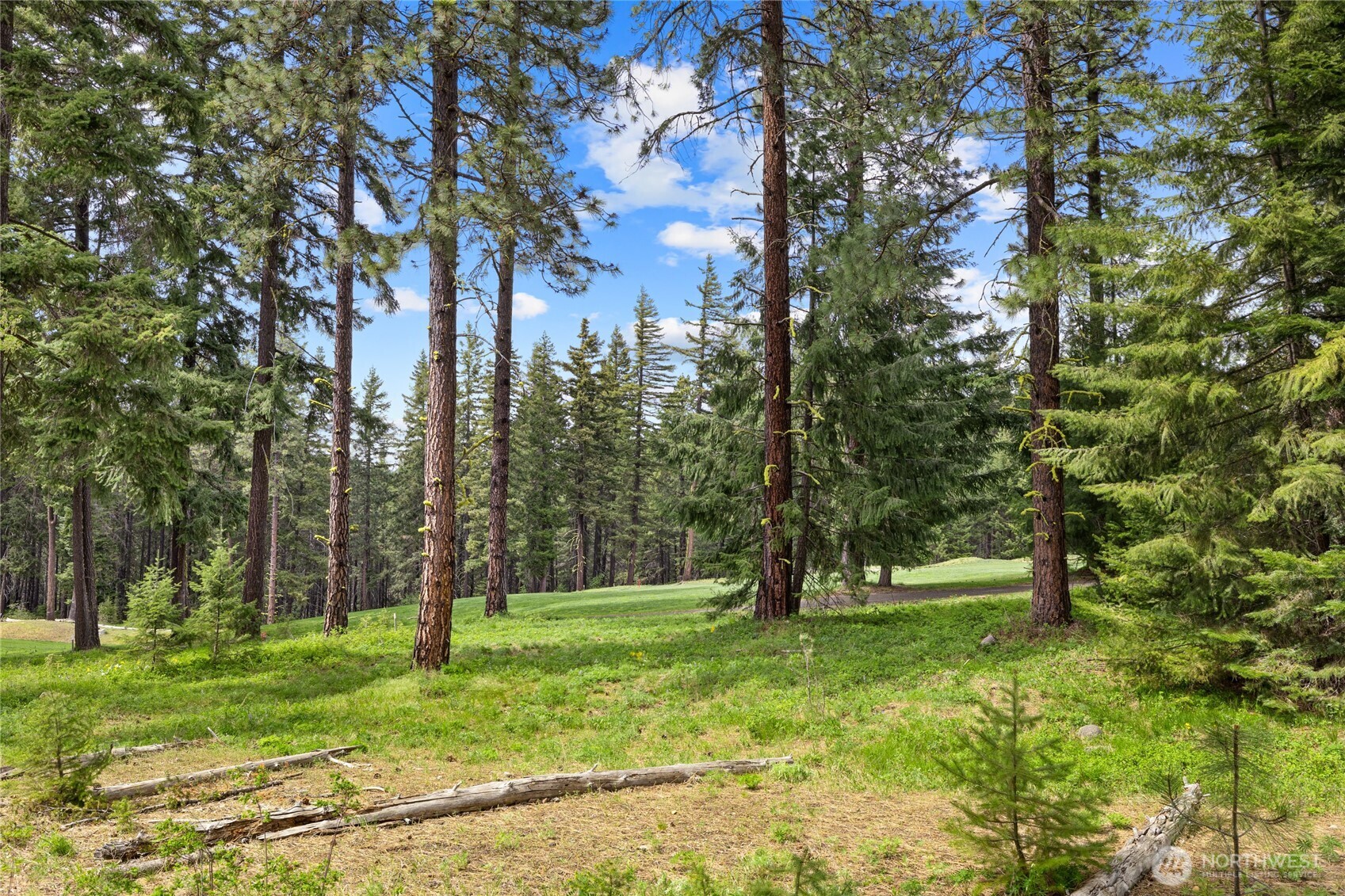 261 Maple Leaf Loop Property Photo 9