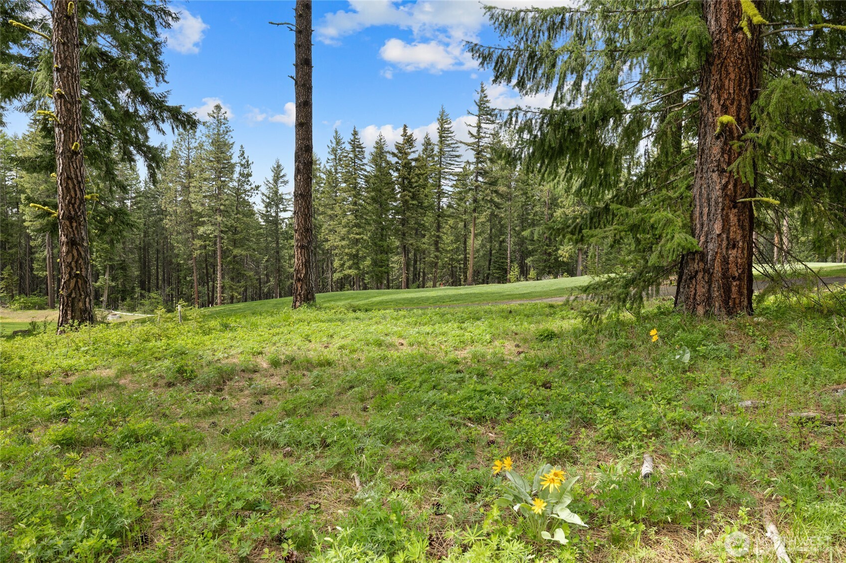 261 Maple Leaf Loop Property Photo 11