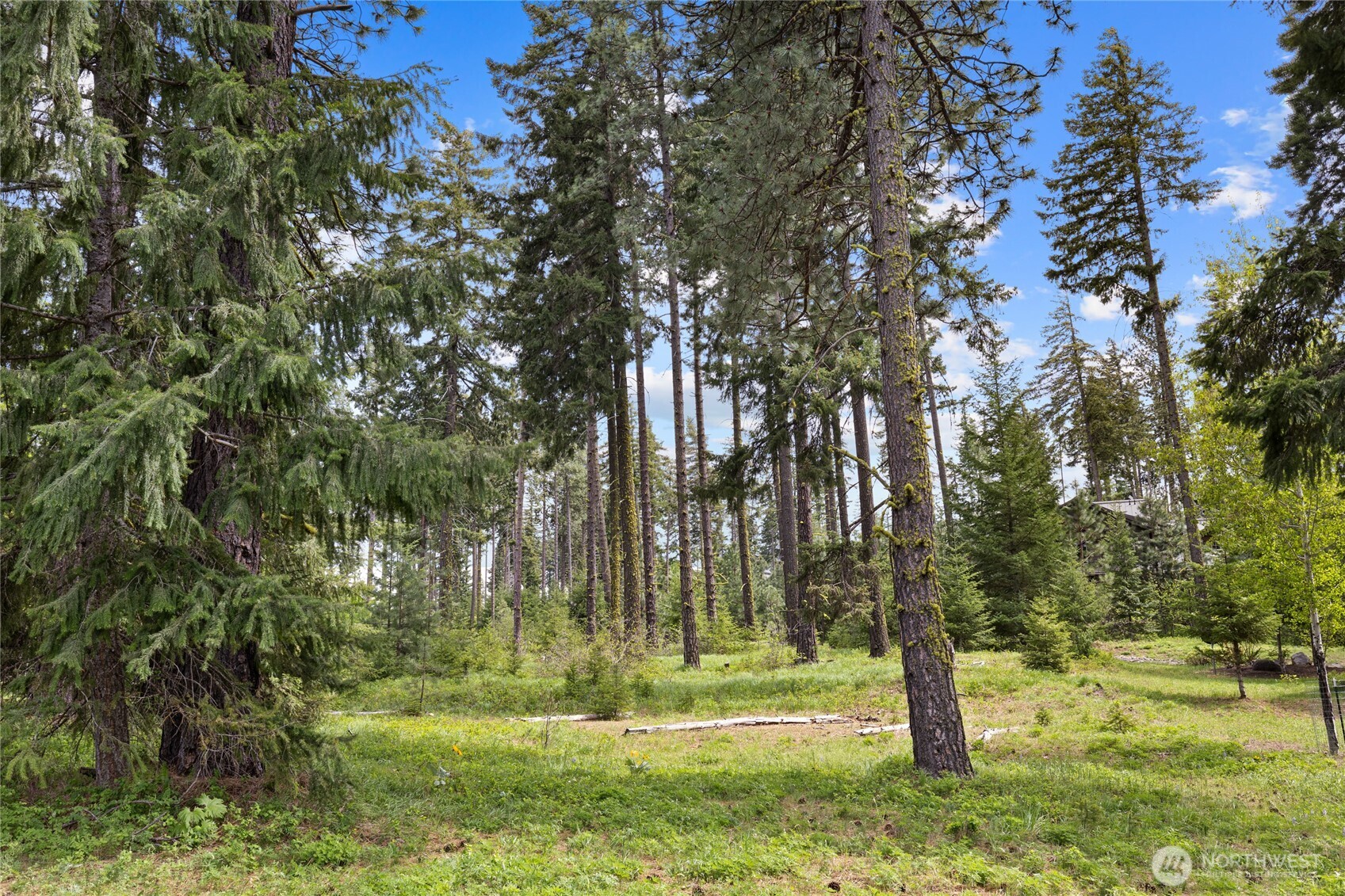 261 Maple Leaf Loop Property Photo 13