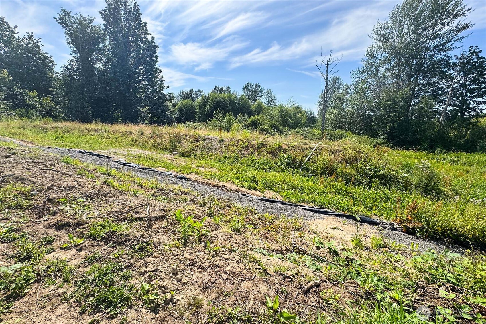 283 W Axton Road Property Photo 13