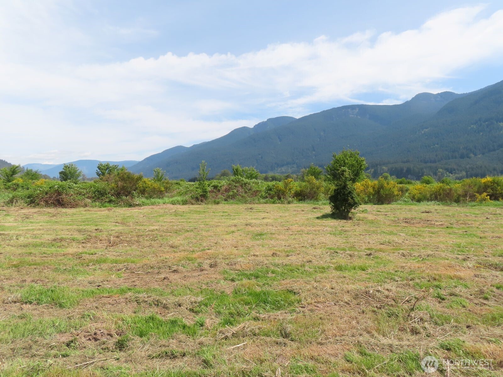 295 River Ranch Road Property Photo 3