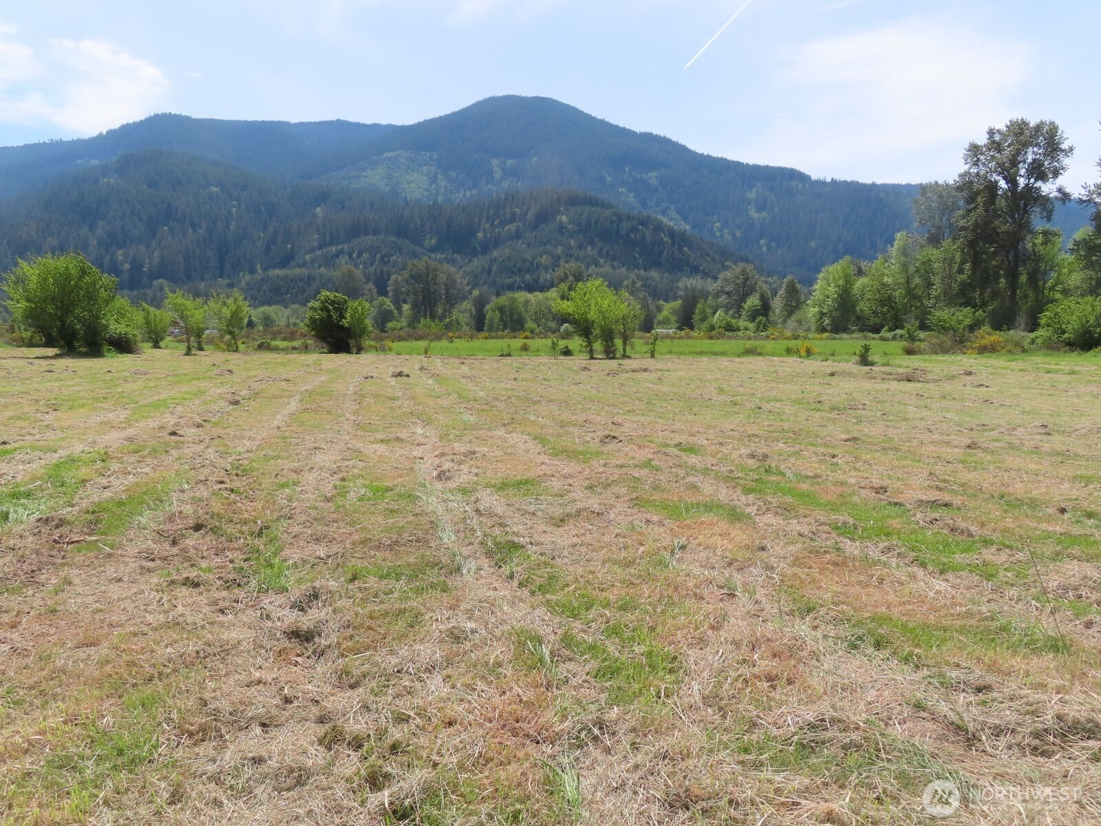 295 River Ranch Road Property Photo 7