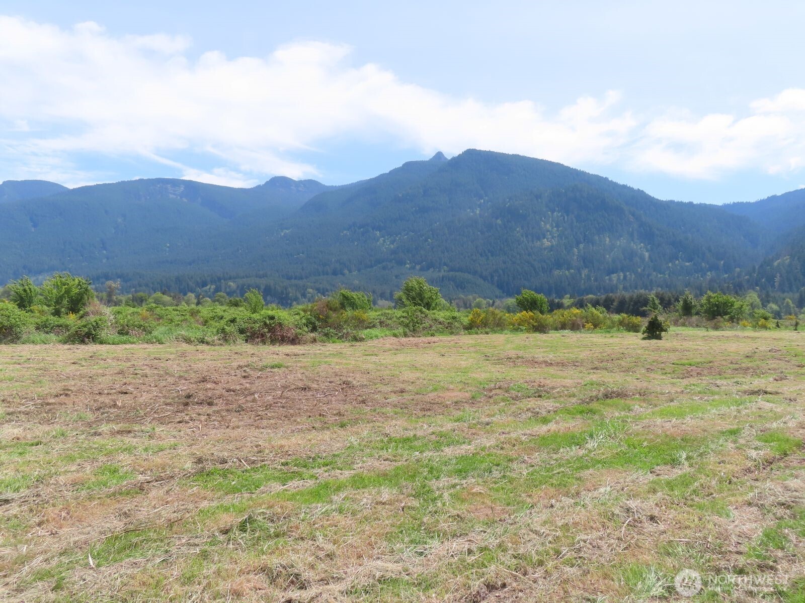 295 River Ranch Road Property Photo 9