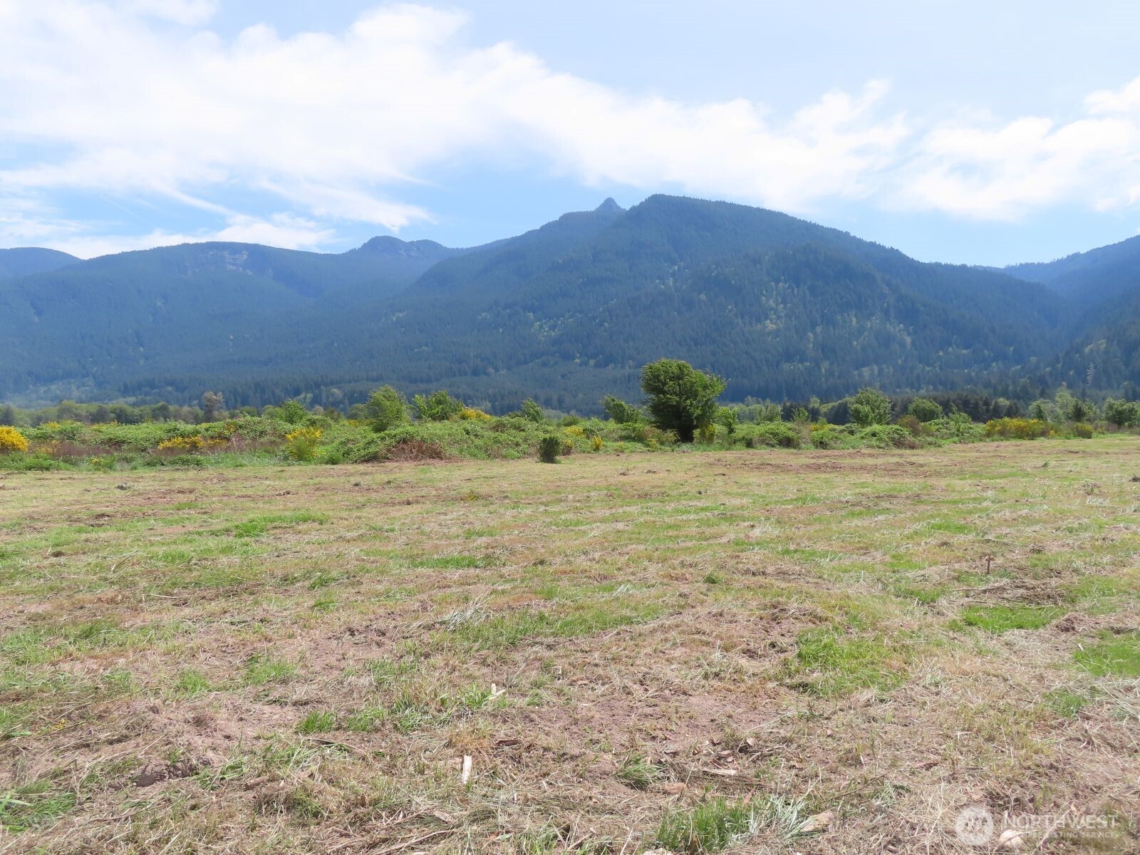 295 River Ranch Road Property Photo 15