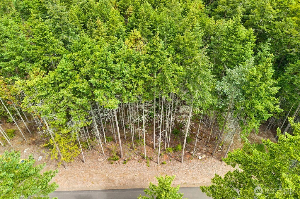 1154 45th Street Property Photo 6