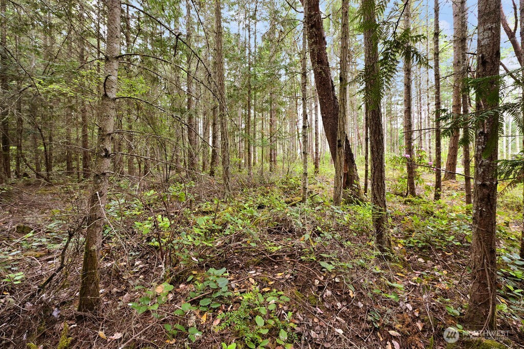 1154 45th Street Property Photo 13