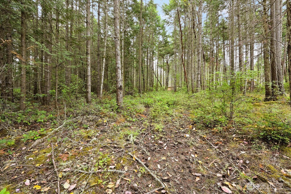 1154 45th Street Property Photo 14