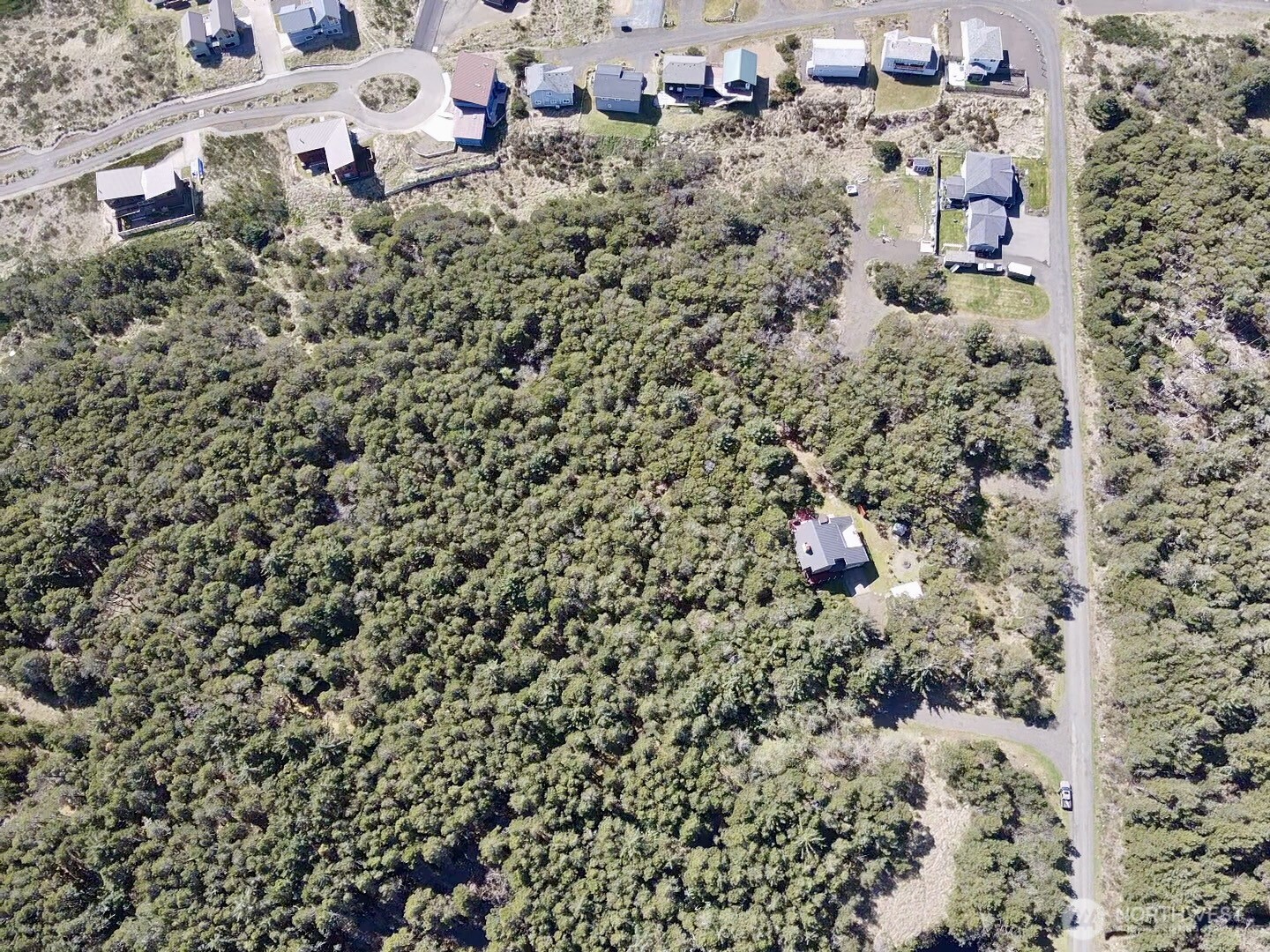 1005 Sand Castle Lane Property Photo 11