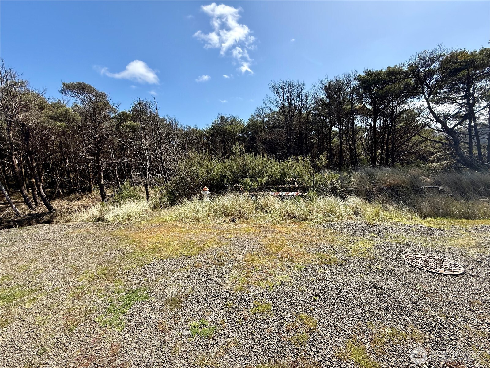 1005 Sand Castle Lane Property Photo 19