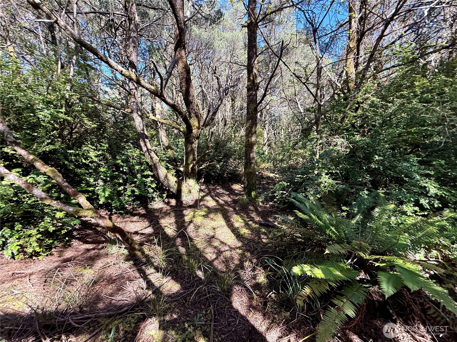 1005 Sand Castle Lane Property Photo 25