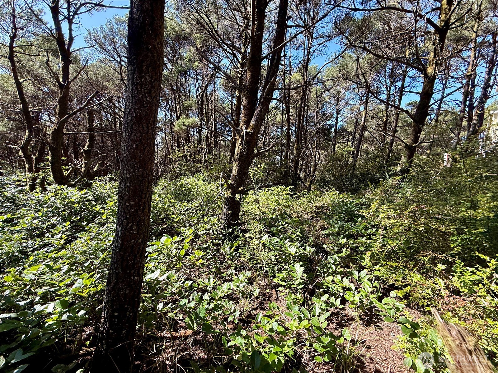 1005 Sand Castle Lane Property Photo 27