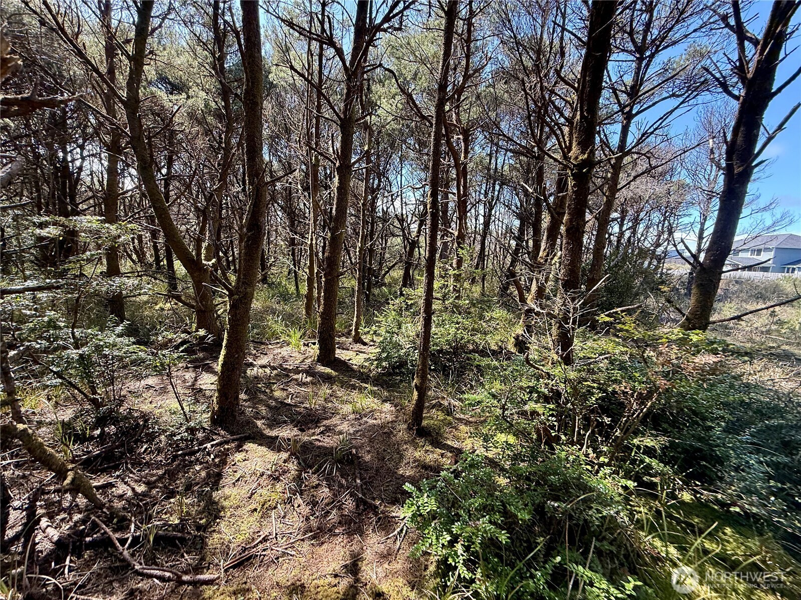 1005 Sand Castle Lane Property Photo 29