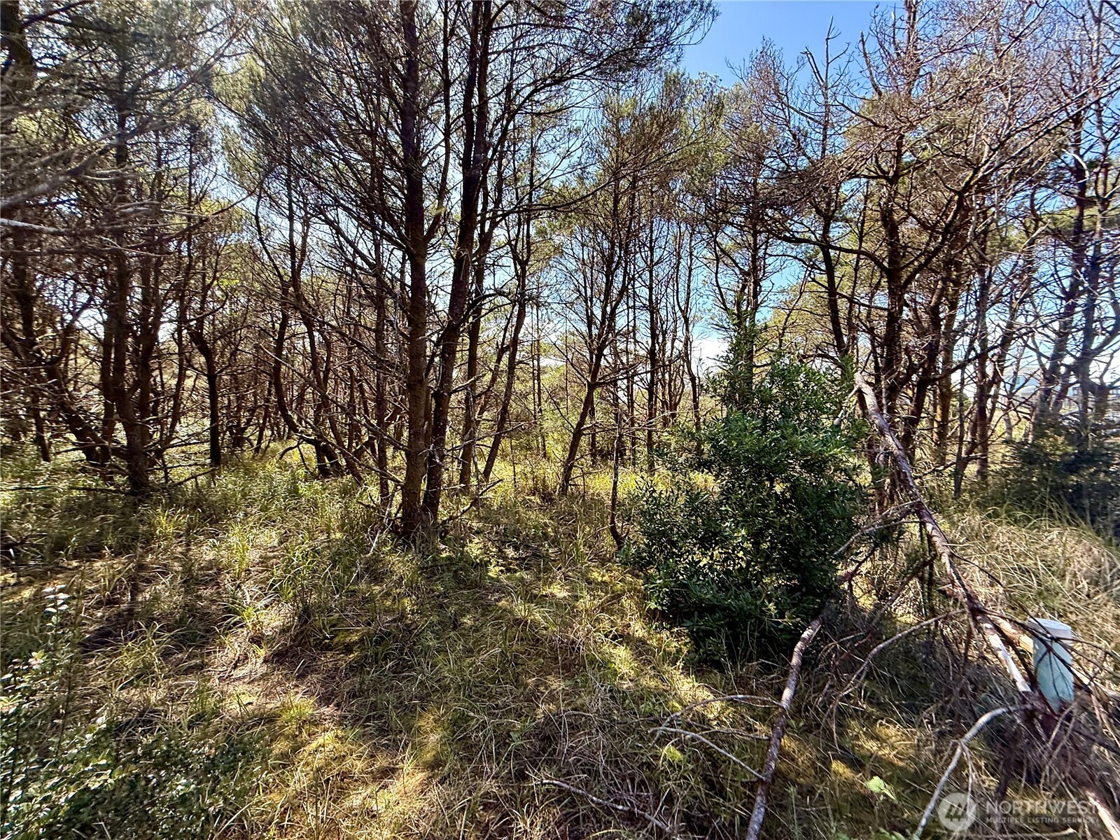 1005 Sand Castle Lane Property Photo 30