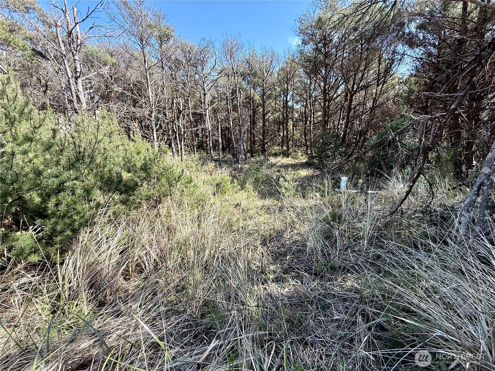 1005 Sand Castle Lane Property Photo 32