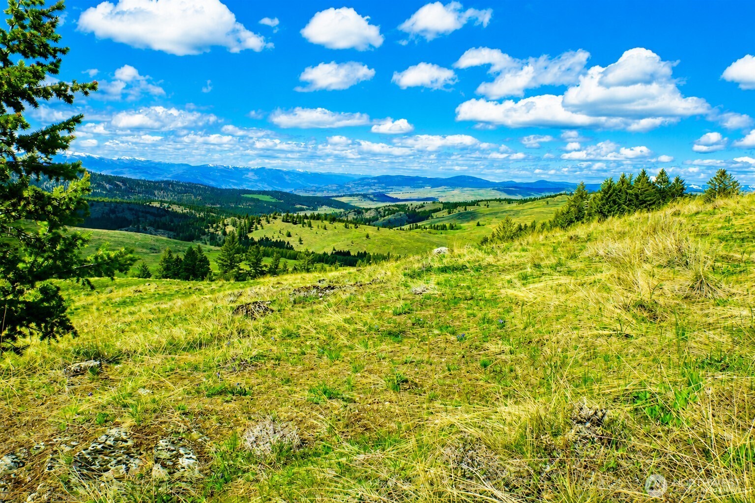 61 Janet Marie Road Property Photo 1