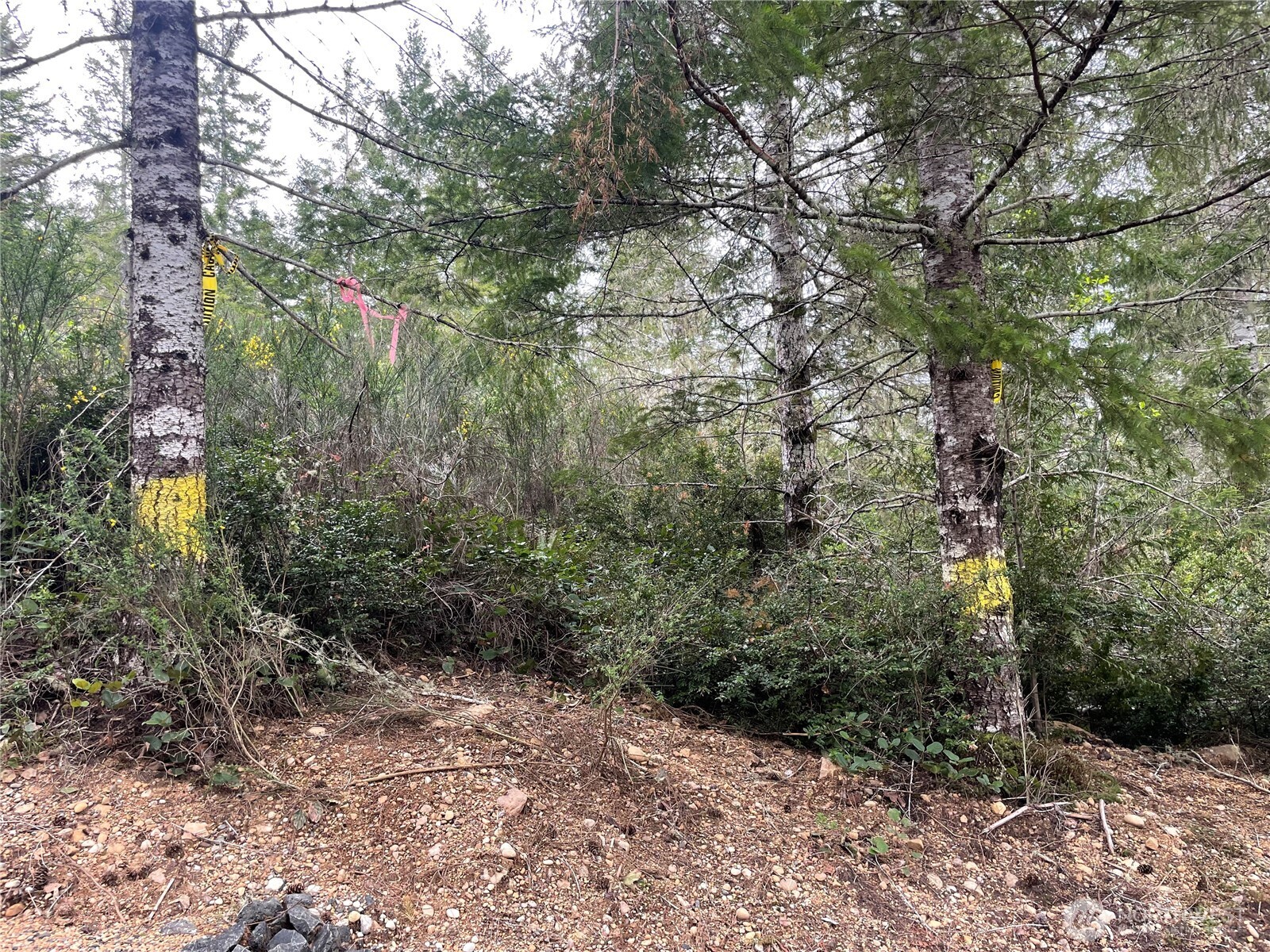 778899 N Hamma Ridge Drive Property Photo 7