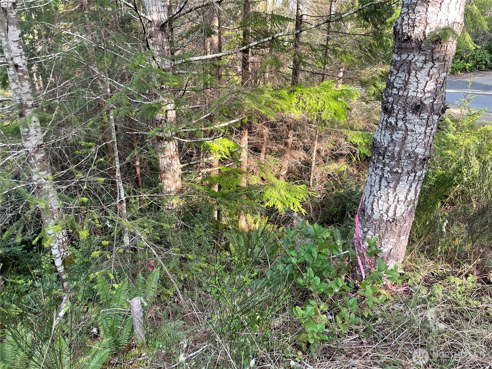 778899 N Hamma Ridge Drive Property Photo 8