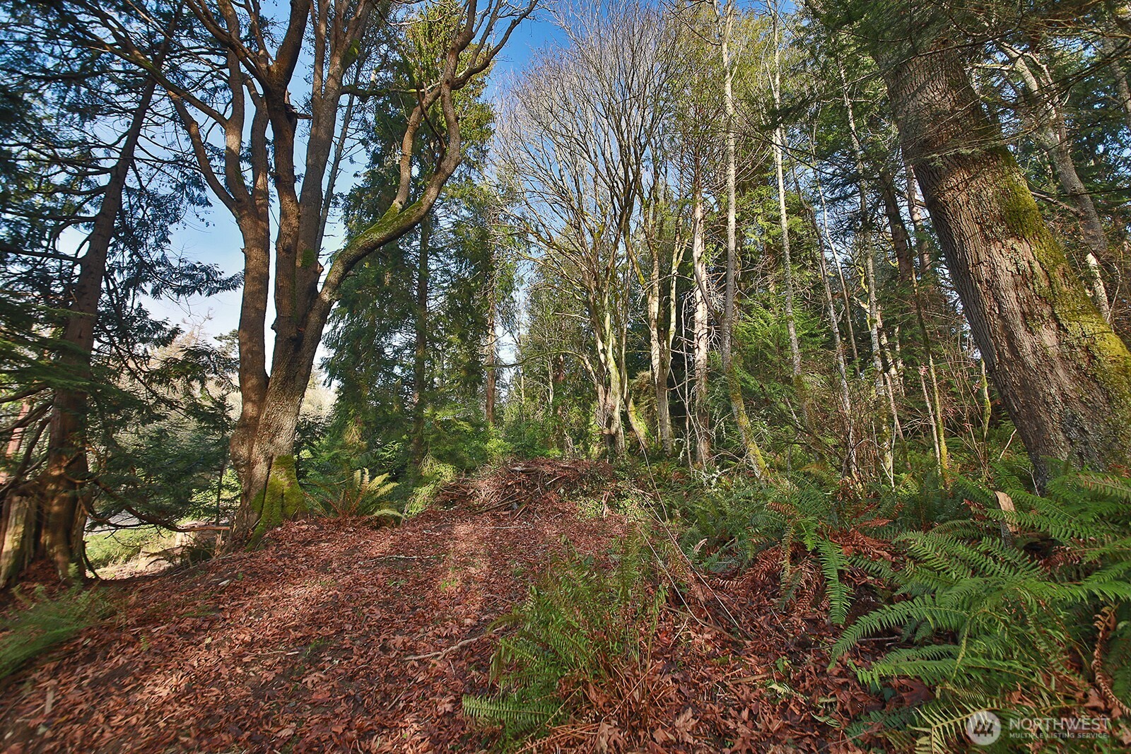 0 Xxx Cultus Bay Road Property Photo 6