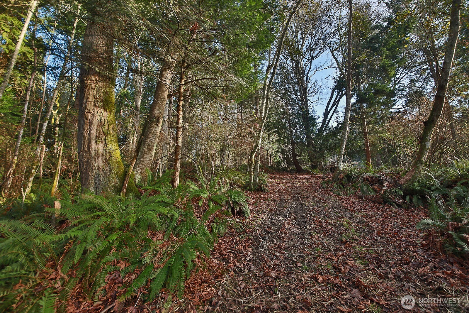 0 Xxx Cultus Bay Road Property Photo 7