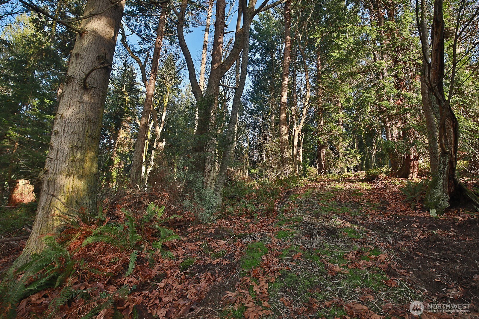 0 Xxx Cultus Bay Road Property Photo 8