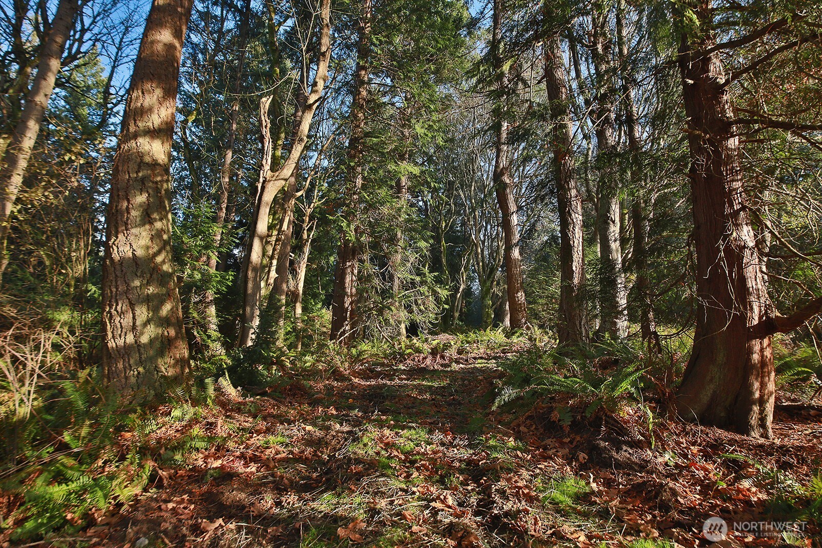 0 Xxx Cultus Bay Road Property Photo 9
