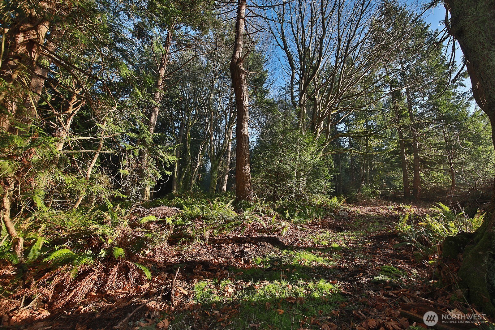 0 Xxx Cultus Bay Road Property Photo 11