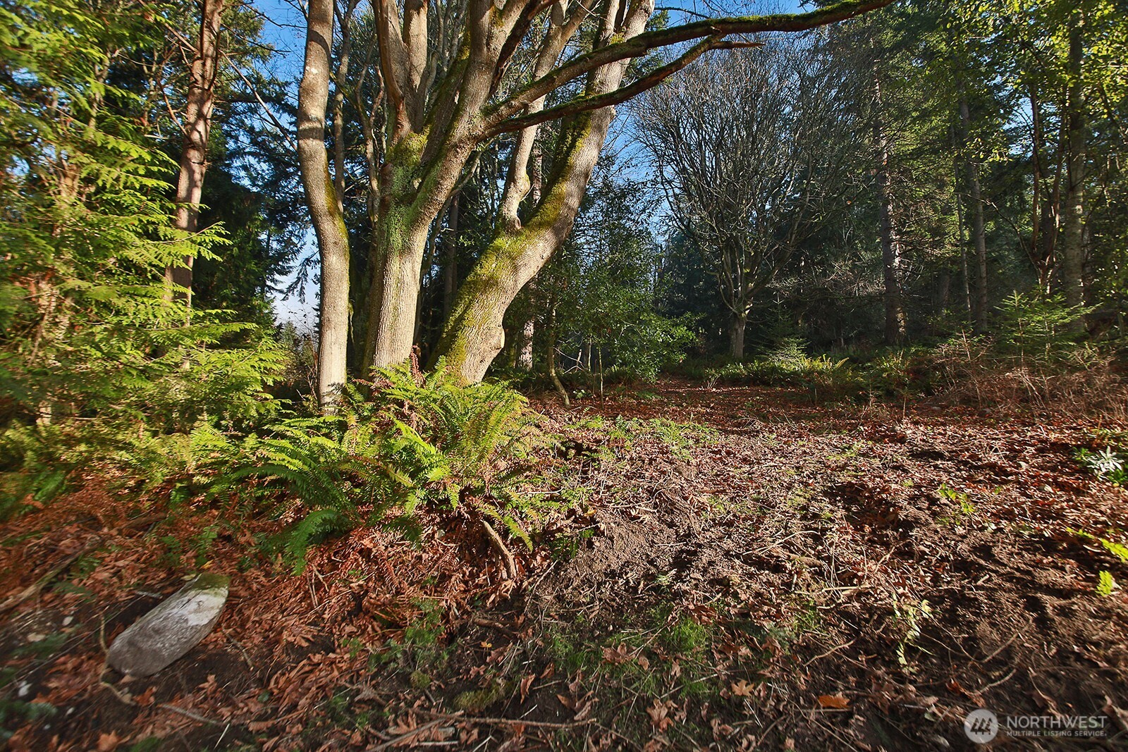 0 Xxx Cultus Bay Road Property Photo 12