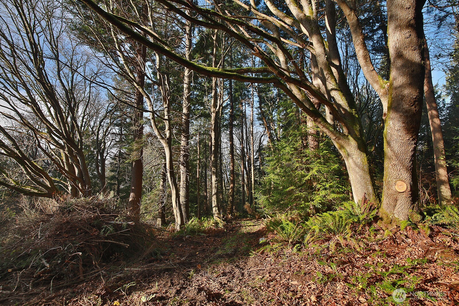 0 Xxx Cultus Bay Road Property Photo 13