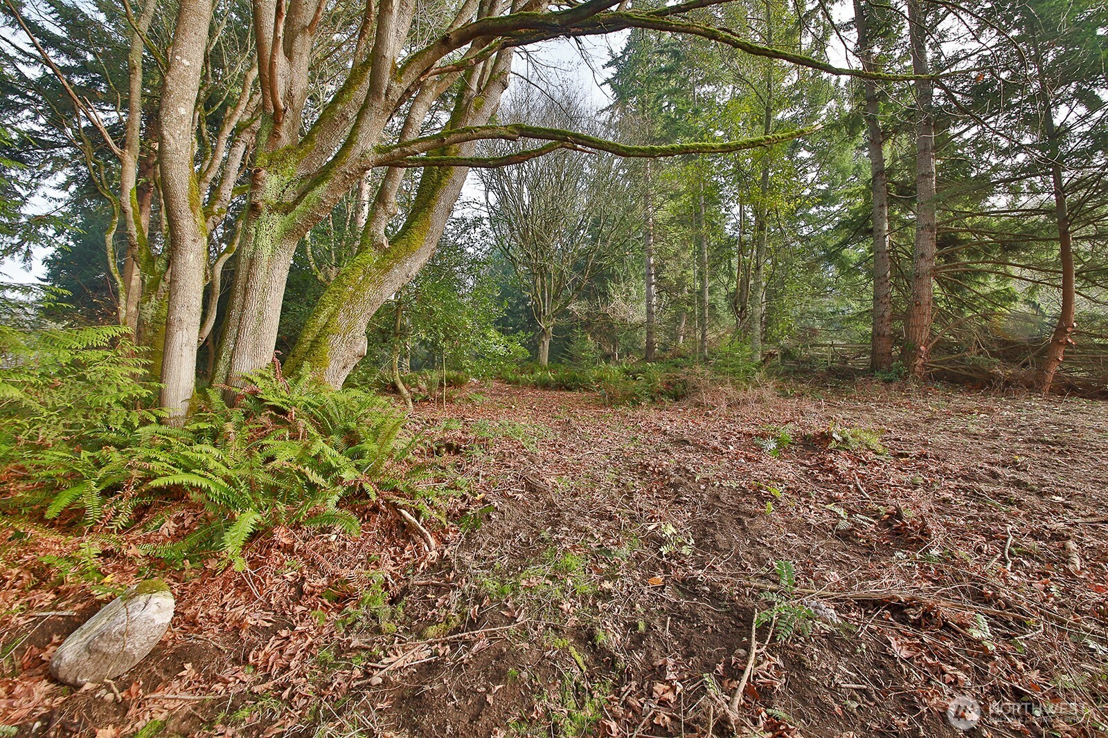 0 Xxx Cultus Bay Road Property Photo 18