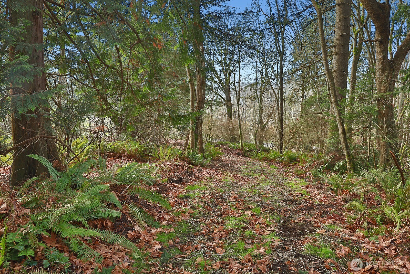 0 Xxx Cultus Bay Road Property Photo 19